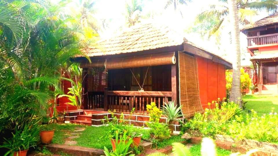 Blue Water Beach Resort Варкала Номер фото